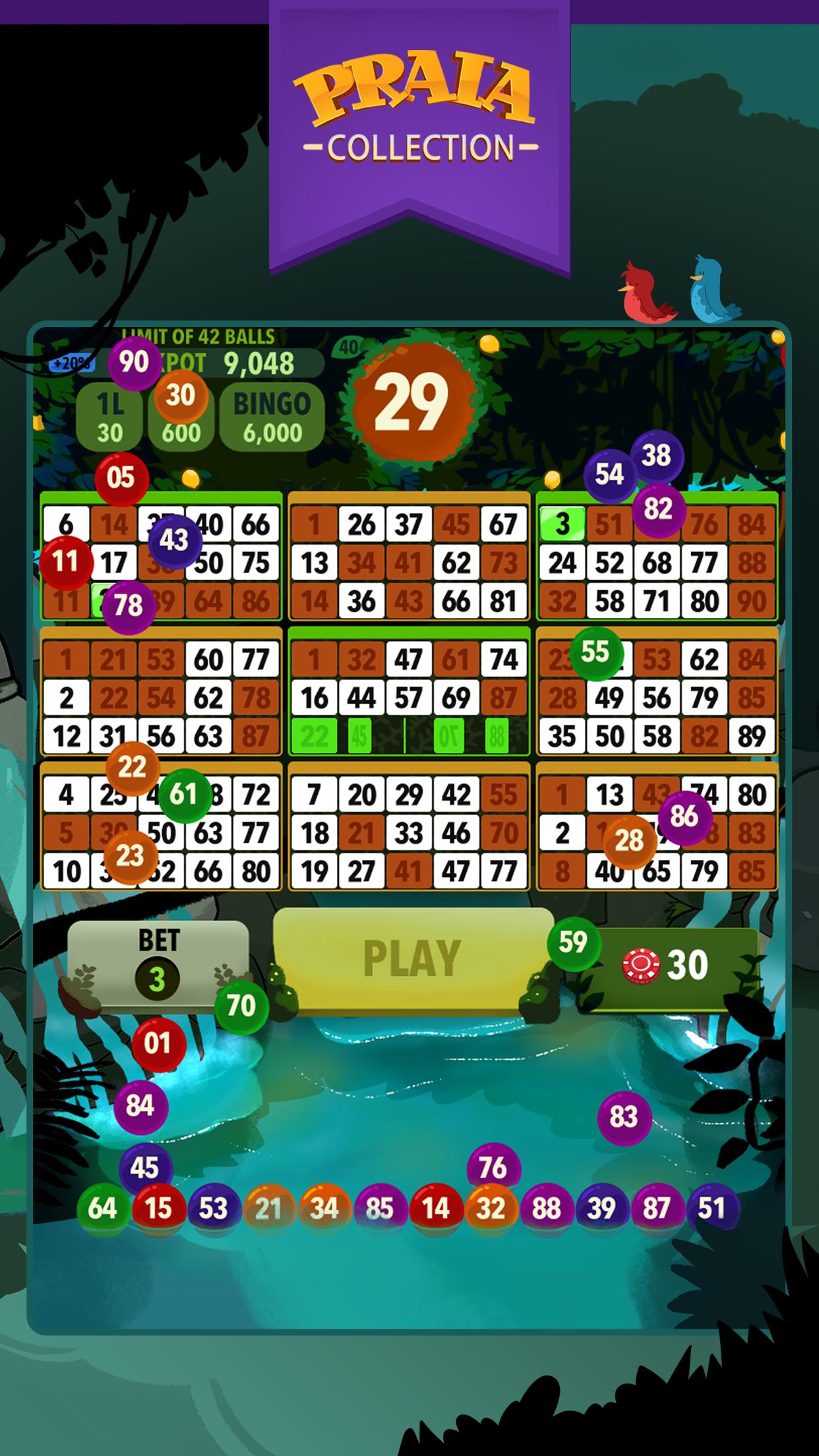 Video Bingo Ubatuba